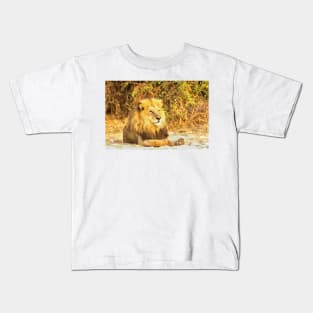 Magnificent Lion at Rest Kids T-Shirt